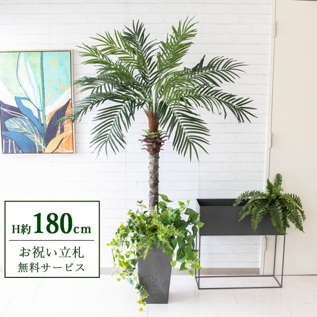 【すぐ飾れる】 フェイクグリーン フェニックス パームツリー ヤシの木 H約180cm 大型 2分割 鉢付き / 法人・開店祝い 店舗・オフィス装飾 空間演出 立札無料・造花/PG212-Q25BK-UG1