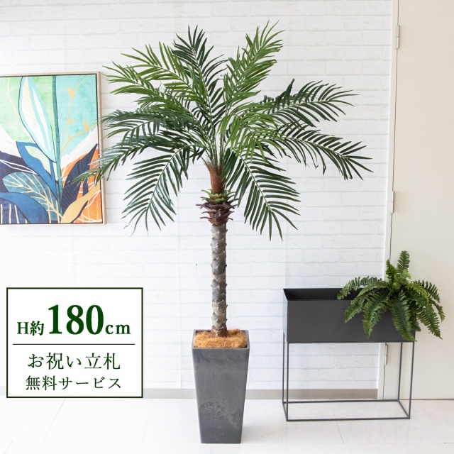 【すぐ飾れる】 フェイクグリーン フェニックス パームツリー ヤシの木 H約180cm 大型 2分割 鉢付き / 法人・開店祝い 店舗・オフィス装飾 空間演出 立札無料・造花/PG212-Q25BK