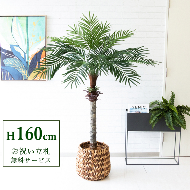 【すぐ飾れる】 フェイクグリーン フェニックス パームツリー ヤシの木 160cm 2分割 鉢付き / 法人・開店祝い 店舗・オフィス装飾 空間演出 立札無料・造花/PG212-R26