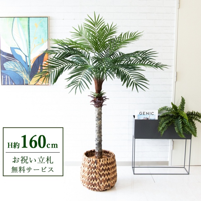 【すぐ飾れる】 フェイクグリーン フェニックス パームツリー ヤシの木 H約160cm 2分割 鉢付き / 法人・開店祝い 店舗・オフィス装飾 空間演出 立札無料・造花/PG212-R26