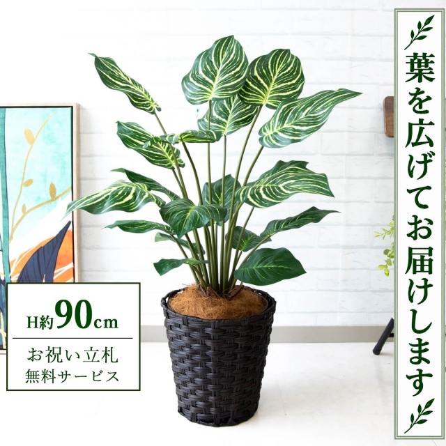 【すぐ飾れる】 フェイクグリーン ゼブラ H約90cm 鉢付き / 法人・開店祝い 店舗・オフィス装飾 空間演出 立札無料・造花/PG214-MEL26DB