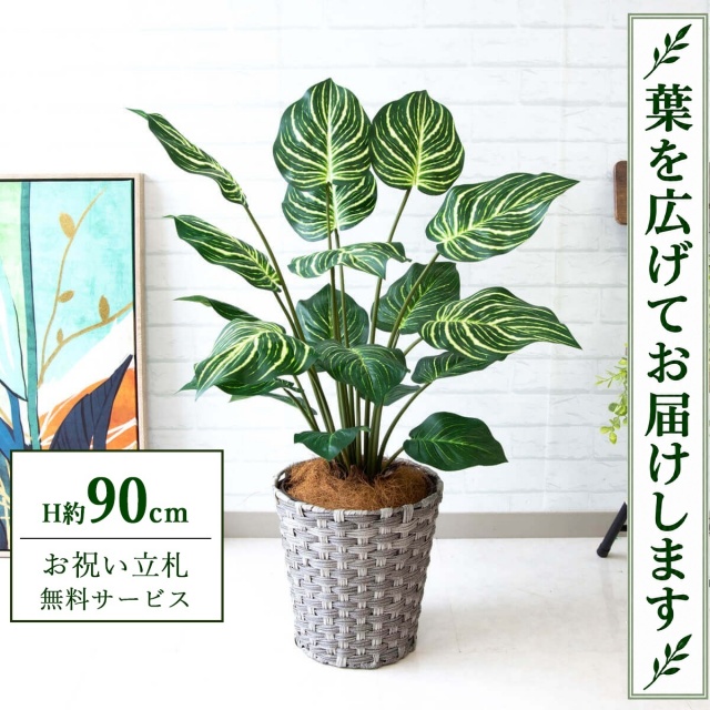 【すぐ飾れる】 フェイクグリーン ゼブラ H約90cm 鉢付き / 法人・開店祝い 店舗・オフィス装飾 空間演出 立札無料・造花/PG214-MEL26GY