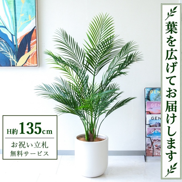 【すぐ飾れる】 フェイクグリーン アレカパーム H約135cm 鉢付き / 法人・開店祝い 店舗・オフィス装飾 空間演出 立札無料・造花/PG215-CHC29IV
