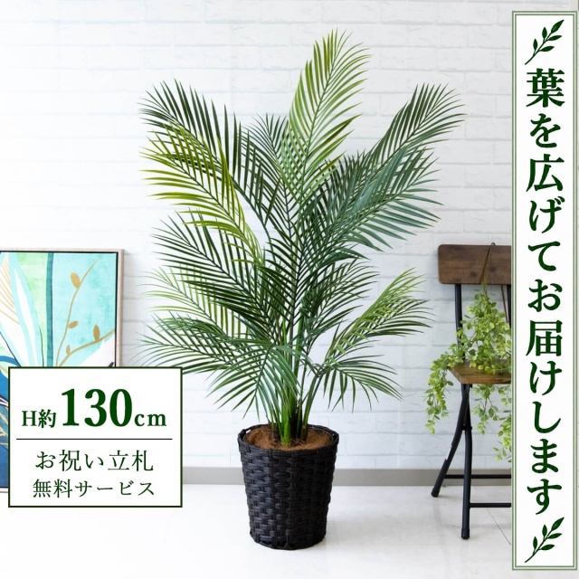 【すぐ飾れる】 フェイクグリーン アレカパーム H約130cm 鉢付き / 法人・開店祝い 店舗・オフィス装飾 空間演出 立札無料・造花/PG215-MEL26DB