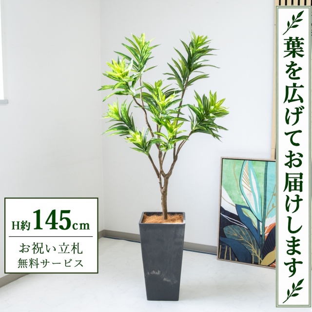 【すぐ飾れる】 フェイクグリーン ソングオブジャマイカ H約145cm 鉢付き / 法人・開店祝い 店舗・オフィス装飾 空間演出 立札無料・造花/PG216-Q25BK
