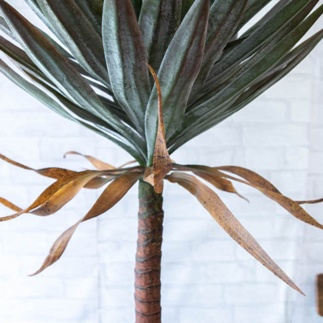 人工 観葉植物 フェイク グリーン ユッカアロイフィリア H約160cm 大型