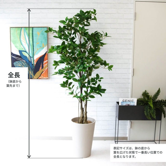 人工 観葉植物 フェイク グリーン オスマンサスツリー H約180cm 大型