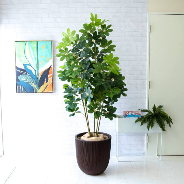 観葉植物 シェフレラ 185cm 人工 観葉植物 フェイク グリーン シェフレラ H約185cm 大型 店舗 装飾