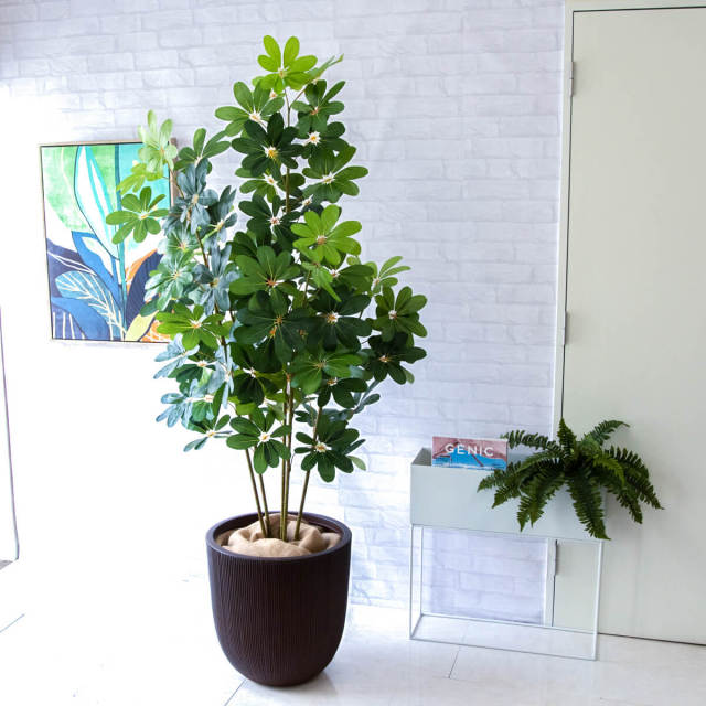 人工 観葉植物 フェイク グリーン シェフレラ H約185cm 大型 店舗 装飾