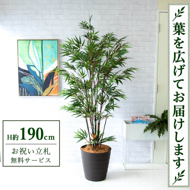 【すぐ飾れる】 フェイクグリーン 黒竹 H約190cm 大型 鉢付き / 法人・開店祝い 店舗・オフィス装飾 空間演出 立札無料・造花/PG229-M36DB