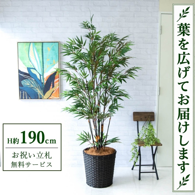 【すぐ飾れる】 フェイクグリーン 黒竹 H約190cm 大型 鉢付き / 法人・開店祝い 店舗・オフィス装飾 空間演出 立札無料・造花/PG229-MEL38DB