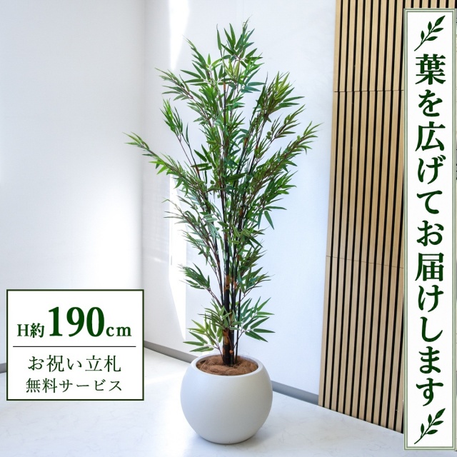 【すぐ飾れる】 フェイクグリーン 黒竹 H約190cm 大型 鉢付き / 法人・開店祝い 店舗・オフィス装飾 空間演出 立札無料・造花/PG229-ROM43IV