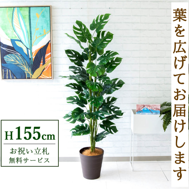 【すぐ飾れる】 フェイクグリーン スプリットフィロツリー 155cm 鉢付き / 法人・開店祝い 店舗・オフィス装飾 空間演出 立札無料・造花/PG231-B240BR
