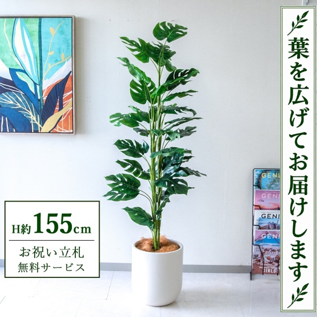 【すぐ飾れる】 フェイクグリーン スプリットフィロツリー H約155cm 鉢付き / 法人・開店祝い 店舗・オフィス装飾 空間演出 立札無料・造花/PG231-CHC29IV