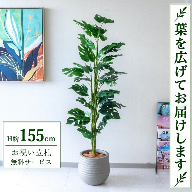 【すぐ飾れる】 フェイクグリーン スプリットフィロツリー H約155cm 鉢付き / 法人・開店祝い 店舗・オフィス装飾 空間演出 立札無料・造花/PG231-J30