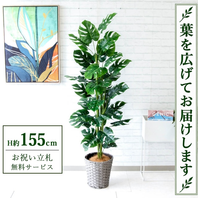 【すぐ飾れる】 フェイクグリーン スプリットフィロツリー H約155cm 鉢付き / 法人・開店祝い 店舗・オフィス装飾 空間演出 立札無料・造花/PG231-MEL26GY