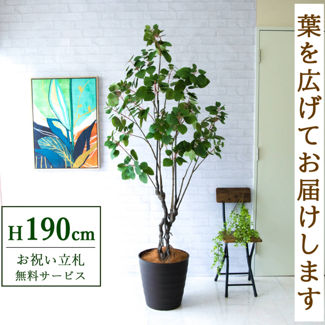 【すぐ飾れる】 フェイクグリーン スモークツリー 190cm 大型 鉢付き / 法人・開店祝い 店舗・オフィス装飾 空間演出 立札無料・造花/PG232-M36DB