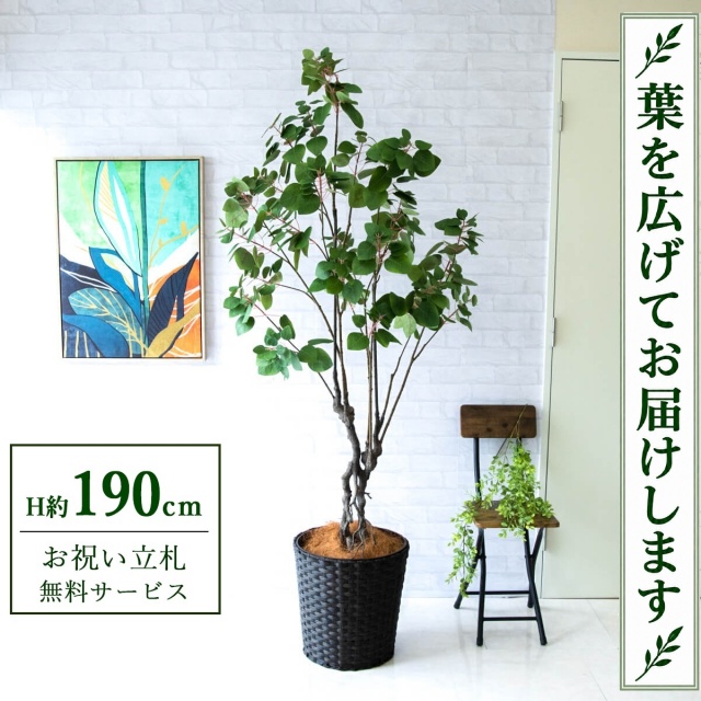 【すぐ飾れる】 フェイクグリーン スモークツリー H約190cm 大型 鉢付き / 法人・開店祝い 店舗・オフィス装飾 空間演出 立札無料・造花/PG232-MEL38DB