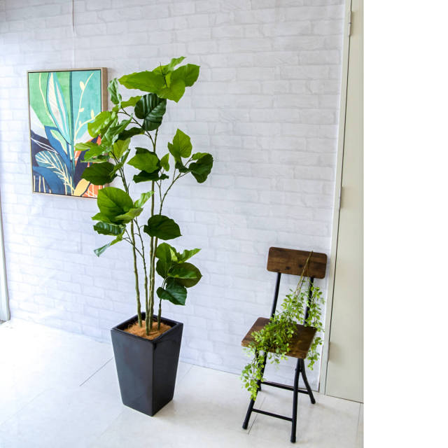 人工 観葉植物 フェイク グリーン ウンベラータ H約165cm 店舗 装飾 