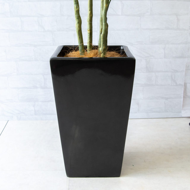 人工 観葉植物 フェイク グリーン ウンベラータ H約165cm 店舗 装飾 
