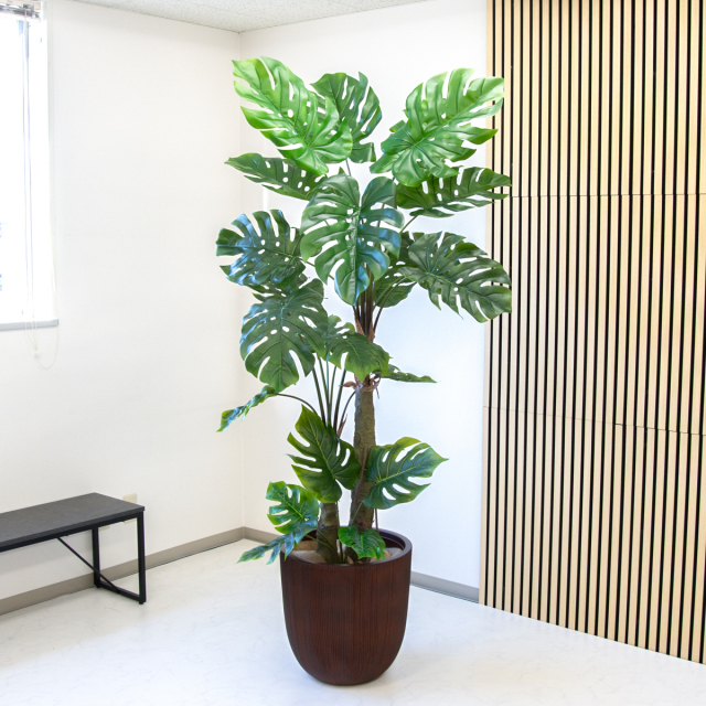 人工 観葉植物 フェイク グリーン モンステラ H約205cm 大型 店舗 装飾
