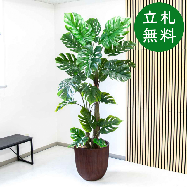 人工 観葉植物 フェイク グリーン モンステラ H約205cm 大型