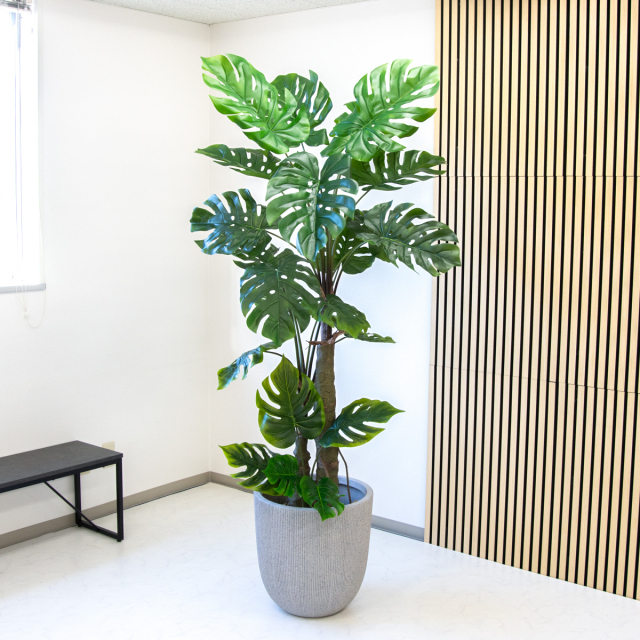 人工 観葉植物 フェイク グリーン モンステラ H約205cm 大型 店舗 装飾