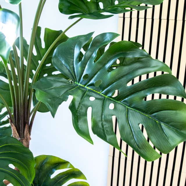 多肉植物と観葉植物　フェイクグリーン　モンステラ 人工 観葉植物 フェイク グリーン モンステラ H約205cm 大型 店舗 装飾