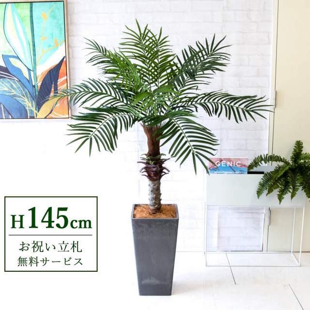 【すぐ飾れる】 フェイクグリーン フェニックス パームツリー ヤシの木 145cm 2分割 鉢付き / 法人・開店祝い 店舗・オフィス装飾 空間演出 立札無料・造花/PG240-Q25BK