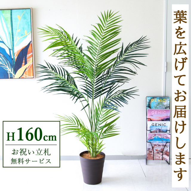 【すぐ飾れる】 フェイクグリーン アレカパーム 160cm 鉢付き / 法人・開店祝い 店舗・オフィス装飾 空間演出 立札無料・造花/PG242-B240BR