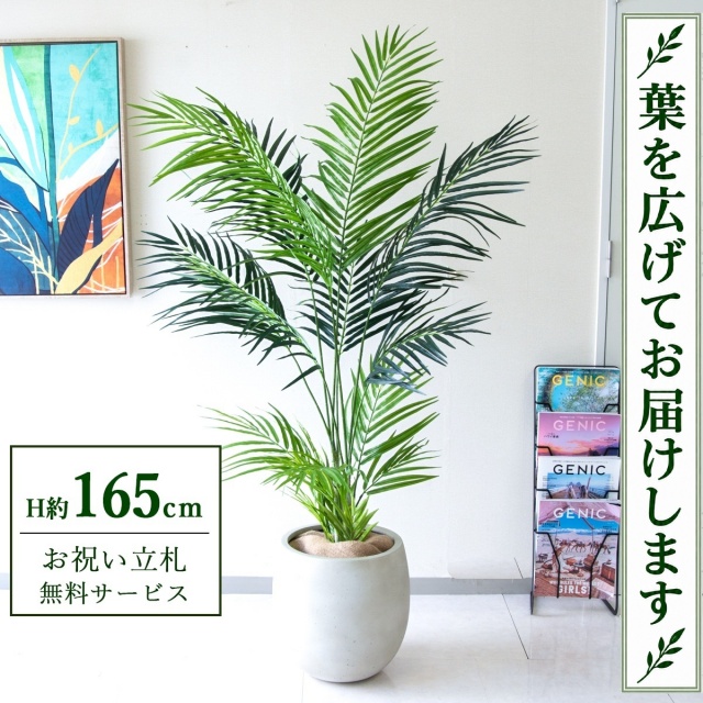 【すぐ飾れる】 フェイクグリーン アレカパーム H約165cm 鉢付き / 法人・開店祝い 店舗・オフィス装飾 空間演出 立札無料・造花/PG242-BAL30IV
