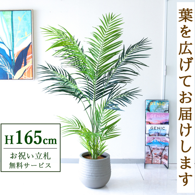 【すぐ飾れる】 フェイクグリーン アレカパーム 165cm 鉢付き / 法人・開店祝い 店舗・オフィス装飾 空間演出 立札無料・造花/PG242-J30