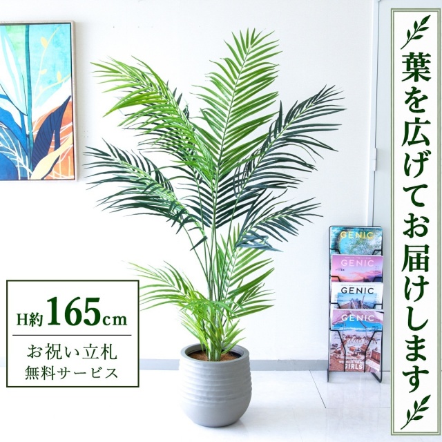 【すぐ飾れる】 フェイクグリーン アレカパーム H約165cm 鉢付き / 法人・開店祝い 店舗・オフィス装飾 空間演出 立札無料・造花/PG242-J30