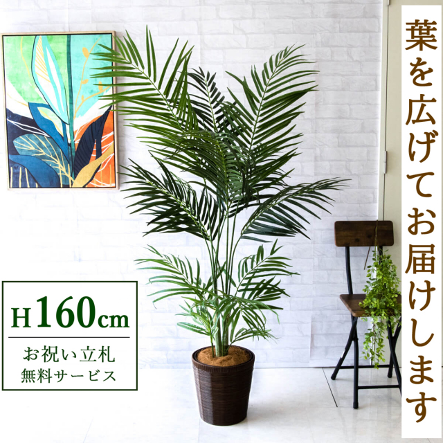 【すぐ飾れる】 フェイクグリーン アレカパーム 160cm 鉢付き / 法人・開店祝い 店舗・オフィス装飾 空間演出 立札無料・造花/PG242-SYD26DB