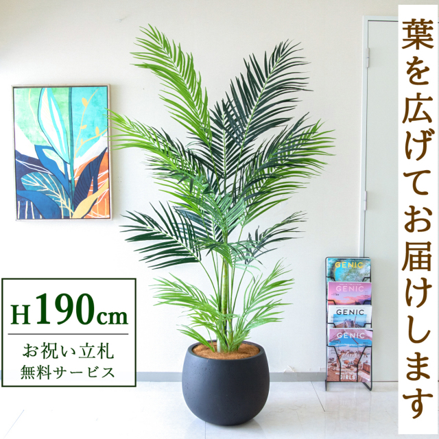 【すぐ飾れる】 フェイクグリーン アレカパーム 190cm 大型 鉢付き / 法人・開店祝い 店舗・オフィス装飾 空間演出 立札無料・造花/PG243-D42BK