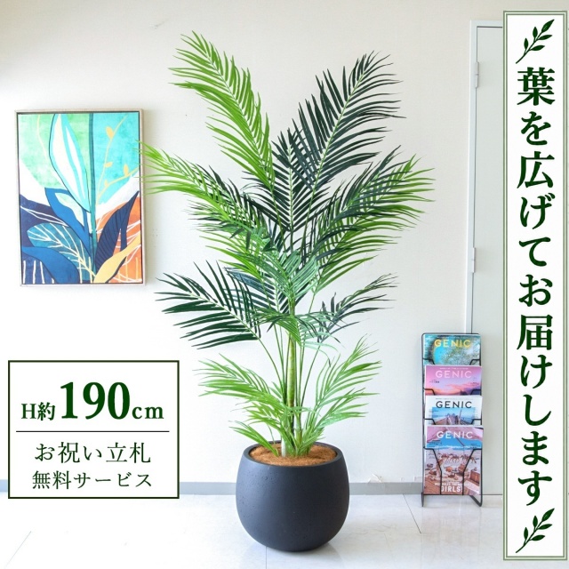 【すぐ飾れる】 フェイクグリーン アレカパーム H約190cm 大型 鉢付き / 法人・開店祝い 店舗・オフィス装飾 空間演出 立札無料・造花/PG243-D42BK