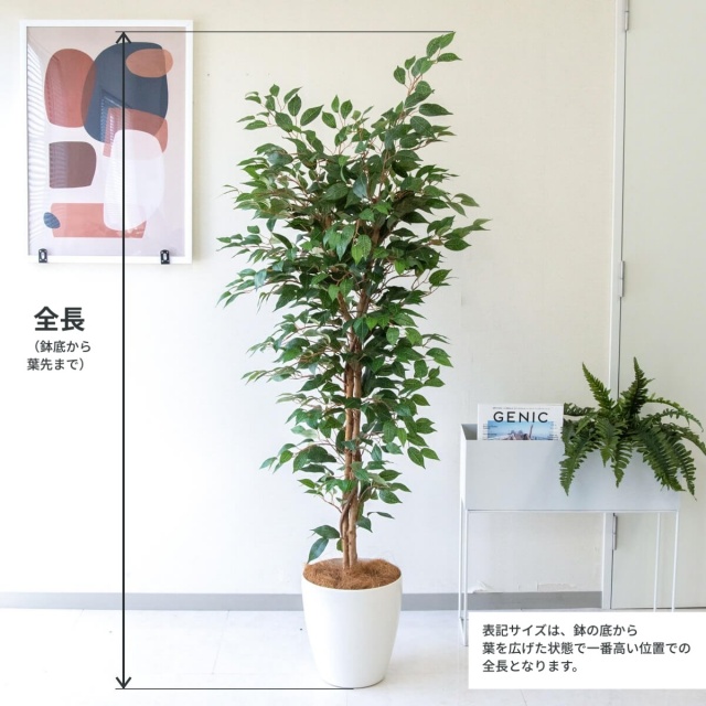 人工観葉植物 フェイクグリーン ベンジャミン 鉢植え 人工 観葉植物 フェイク グリーン ベンジャミン H約160cm 店舗 装飾