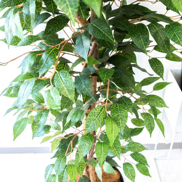 人工 観葉植物 フェイク グリーン ベンジャミン H約160cm 店舗 装飾