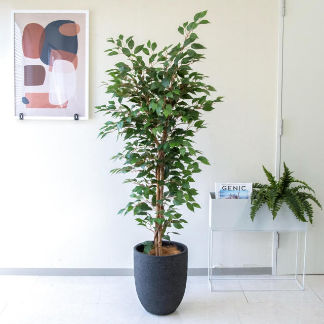 人工 観葉植物 フェイク グリーン ベンジャミン H約160cm 店舗 装飾