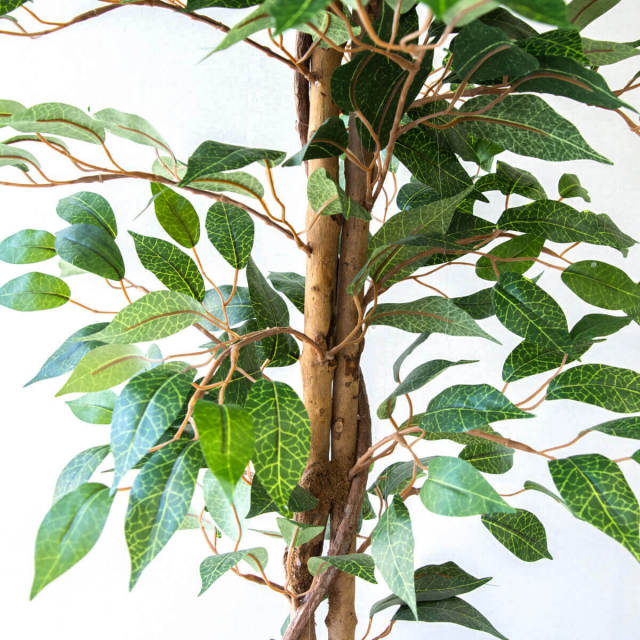 人工 観葉植物 フェイク グリーン ベンジャミン H約160cm 店舗 装飾