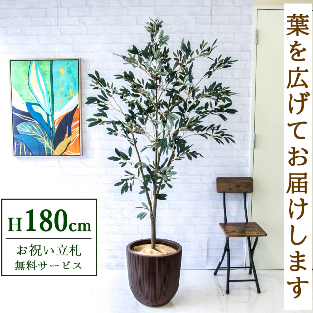【すぐ飾れる】 フェイクグリーン オリーブ 180cm 大型 鉢付き / 法人・開店祝い 店舗・オフィス装飾 空間演出 立札無料・造花/PG246-FRA44DB