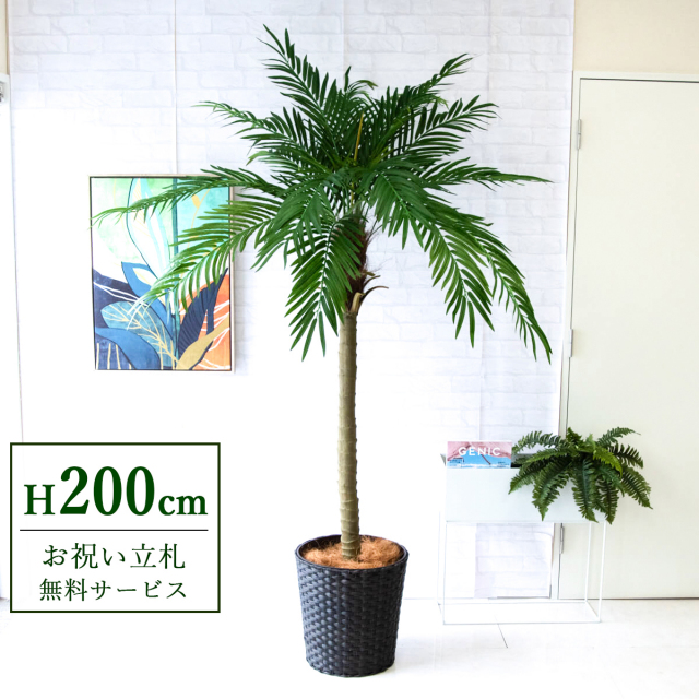 【すぐ飾れる】 フェイクグリーン フェニックス パームツリー ヤシの木 200cm 大型 2分割 鉢付き / 法人・開店祝い 店舗・オフィス装飾 空間演出 立札無料・造花/PG248-MEL38DB