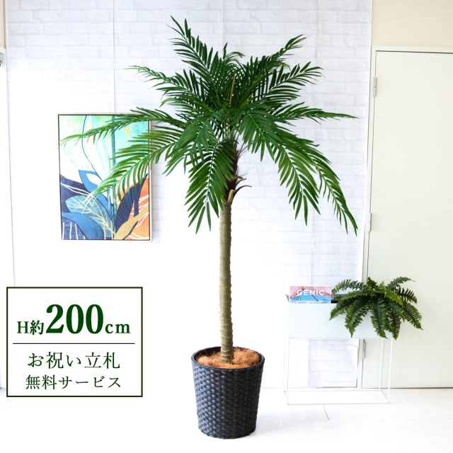 【すぐ飾れる】 フェイクグリーン フェニックス パームツリー ヤシの木 H約200cm 大型 2分割 鉢付き / 法人・開店祝い 店舗・オフィス装飾 空間演出 立札無料・造花/PG248-MEL38DB