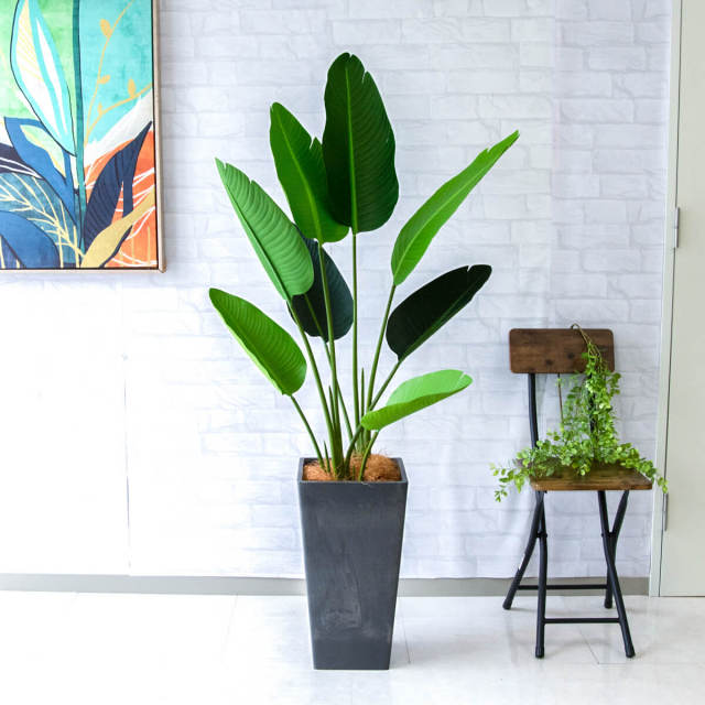 人工 観葉植物 フェイク グリーン オーガスタ H約140cm 店舗