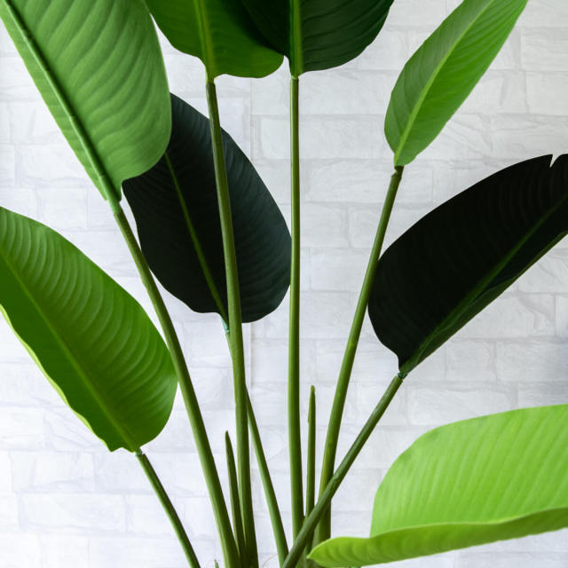 140cm フェイクグリーン 観葉植物 オーガスタ 癒し インテリア オフィス 140cm フェイクグリーン 観葉植物 オーガスタ 癒し インテリア