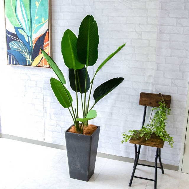 人工 観葉植物 フェイク グリーン オーガスタ H約140cm 店舗 装飾 開店