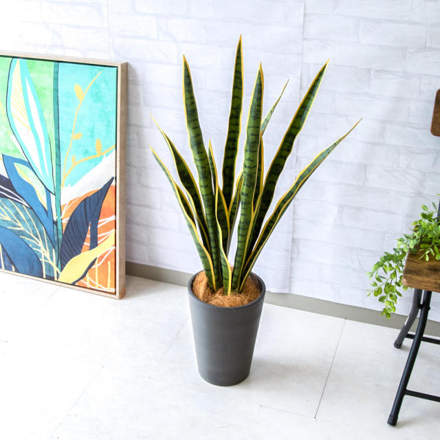 人工 観葉植物 フェイク グリーン サンセベリア H約90cm 店舗 装飾