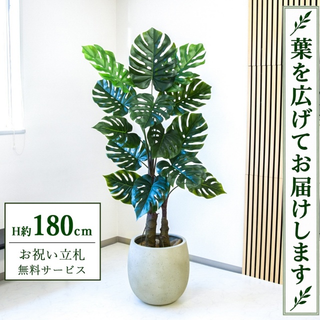 【すぐ飾れる】 フェイクグリーン モンステラ H約180cm 大型 鉢付き / 法人・開店祝い 店舗・オフィス装飾 空間演出 立札無料・造花/PG259-BAL42IV