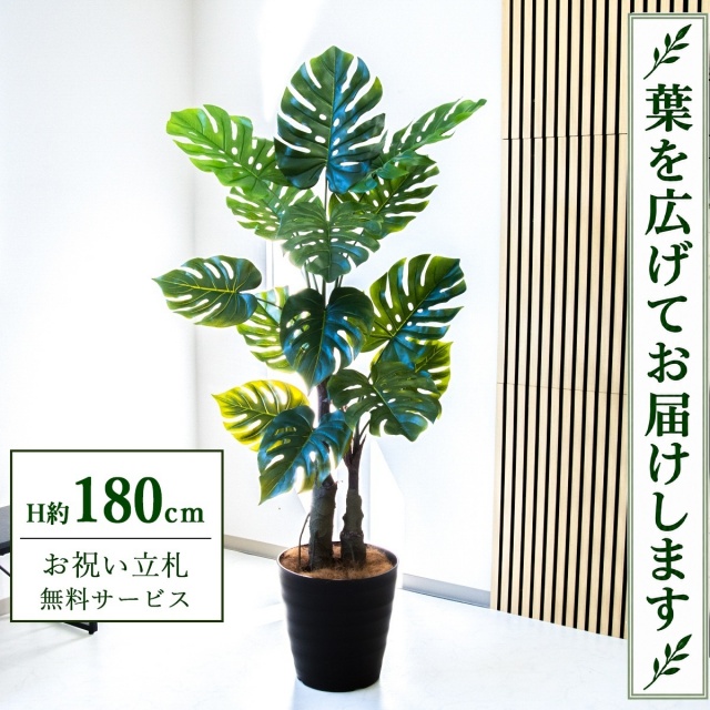 【すぐ飾れる】 フェイクグリーン モンステラ H約180cm 大型 鉢付き / 法人・開店祝い 店舗・オフィス装飾 空間演出 立札無料・造花/PG259-M36DB