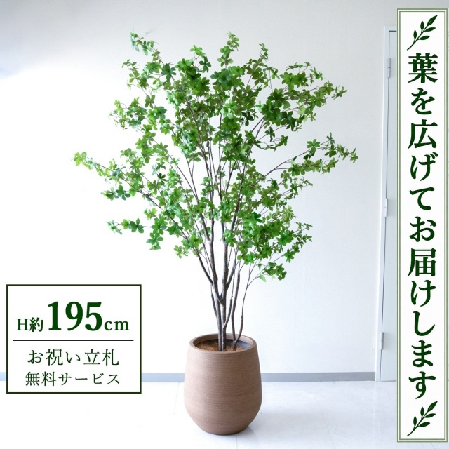 【すぐ飾れる】 フェイクグリーン ドウダンツツジ H約195cm 大型 鉢付き / 法人・開店祝い 店舗・オフィス装飾 空間演出 立札無料・造花/PG261-KAO38LB